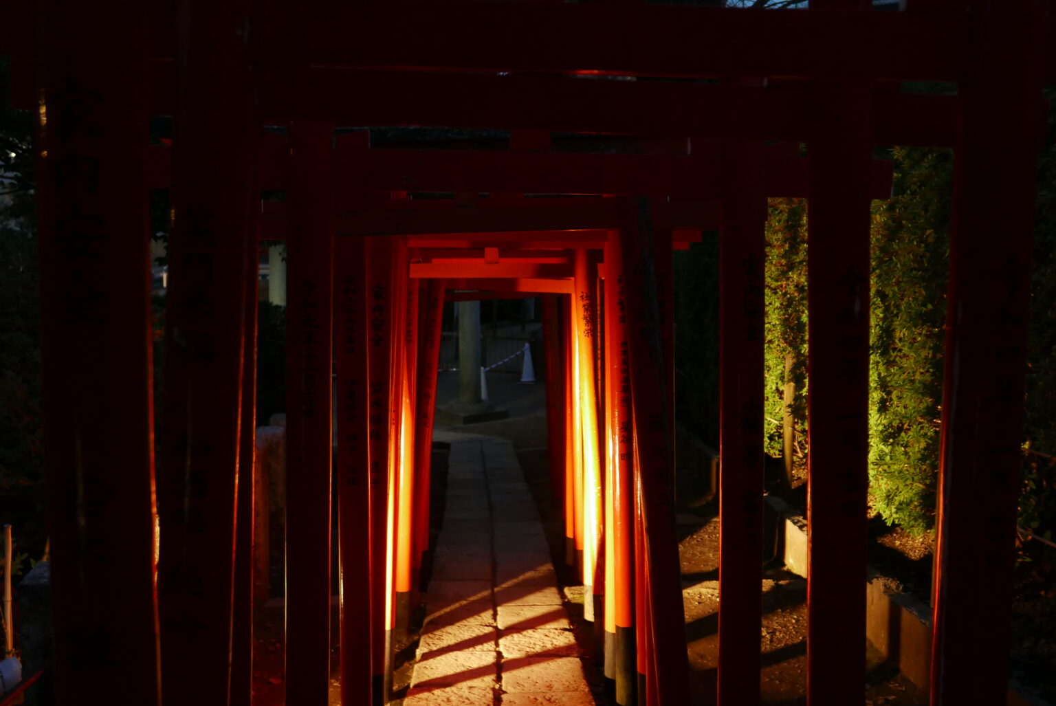 Nezu Shrine Part 2: Amazing! One-Thousand Torii Gates. | Hi, I'm Toru ...